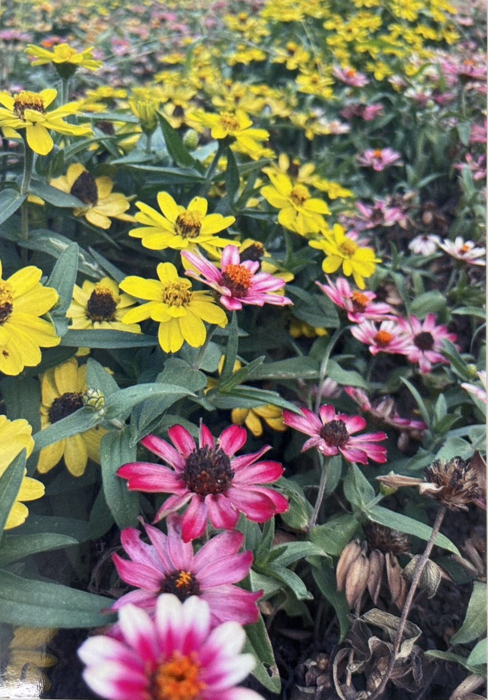 EW-M630TWで印刷した写真サンプル（光沢紙・やや淡い仕上がり）